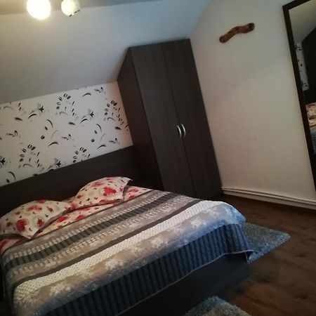 Casa Raul Villa Rucăr Екстериор снимка